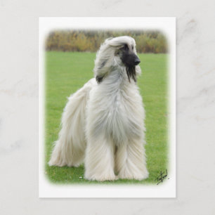 Carte Postale Hound afghan 9Y247D-010