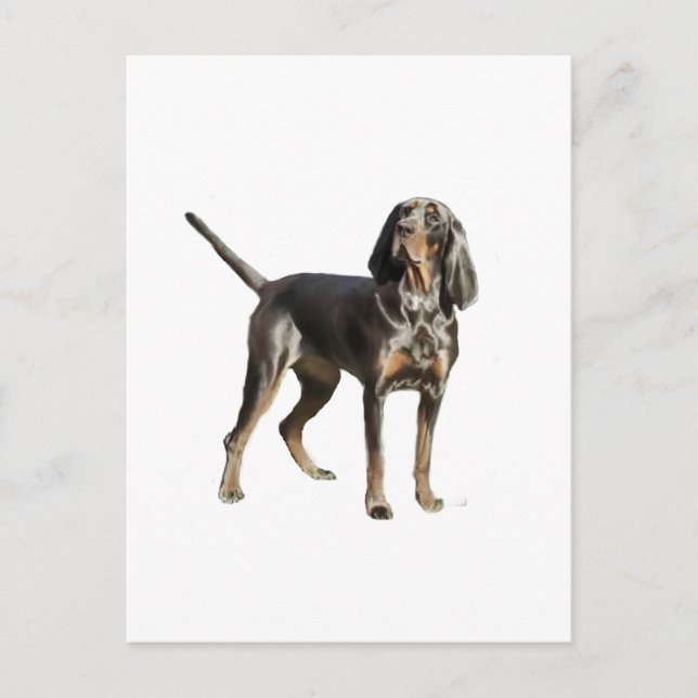 Carte Postale Hound noir et tan noir (Devant)