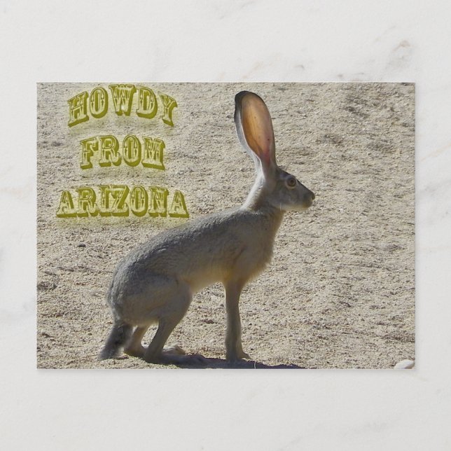 Carte Postale Howdy De Arizona (Devant)