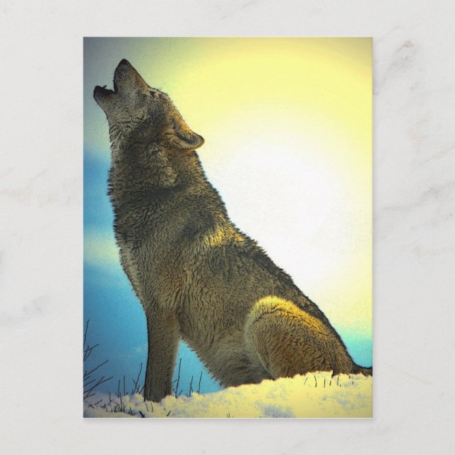 Carte Postale Howling (Devant)