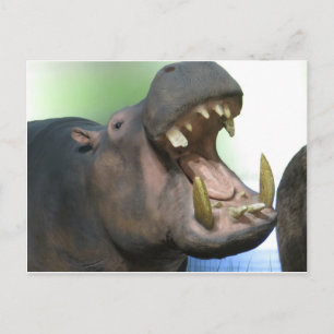 Carte Postale Hppo