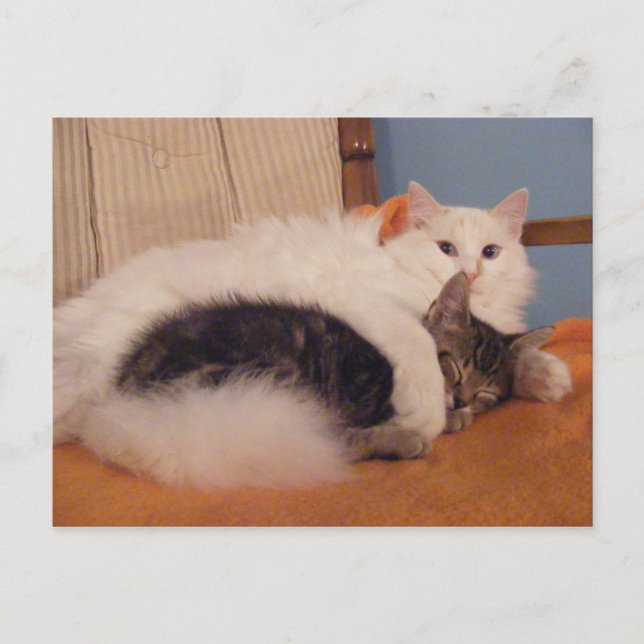 Carte postale HugZ (Devant)