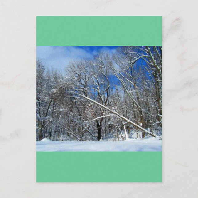 Carte Postale Huile de Blizzard Trees (Devant)