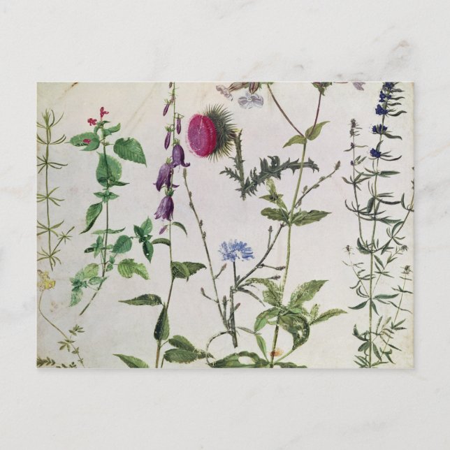 Carte Postale Huit études sur les fleurs sauvages (Devant)