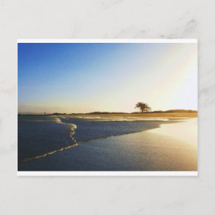 Carte Postale Humboldt Bay Eureka Ca2