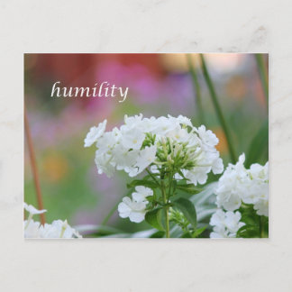Carte Postale humilité