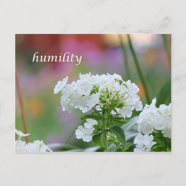 Carte Postale humilité (Devant)