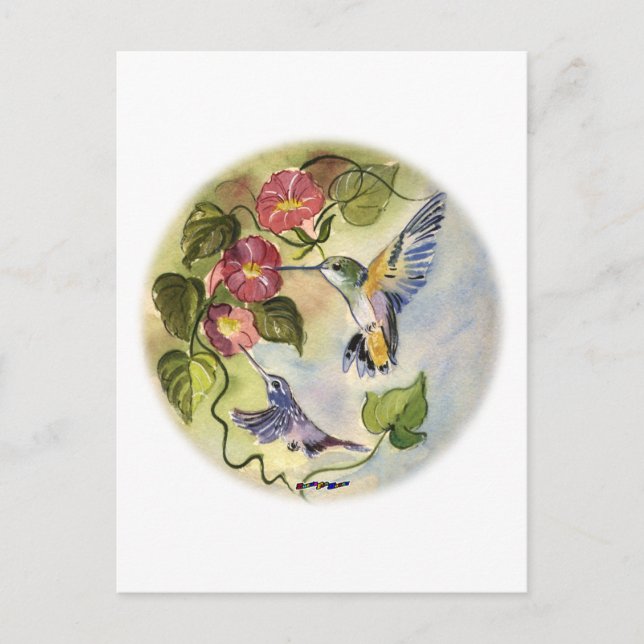 Carte Postale Humming Birds (Devant)