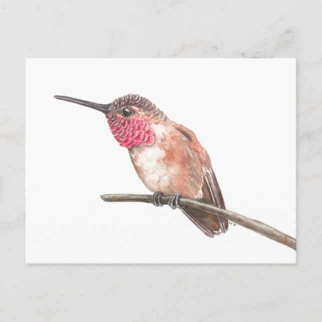 Carte Postale Hummingbird watercolor (Devant)