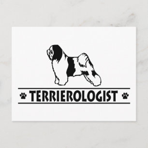 Carte Postale Humoristique Terrier Tibétain