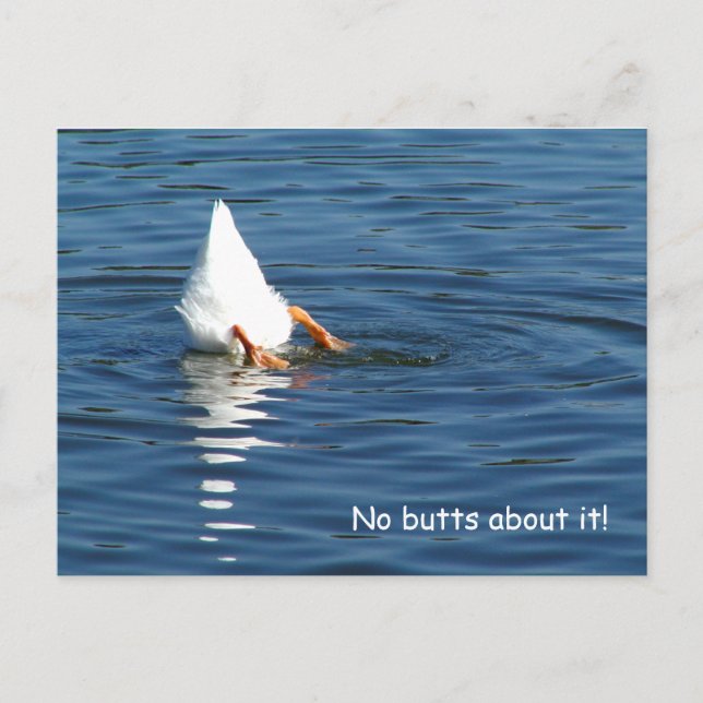 Carte postale Humour Bouton de canard (Devant)