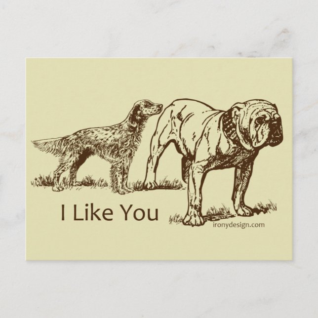 Carte Postale Humour de Like You Dog (Devant)