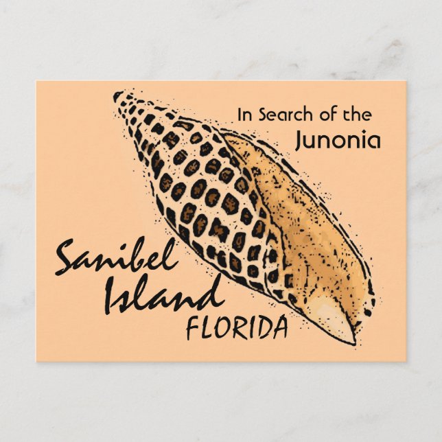 Carte postale humour Junonia shell Sanibel Island (Devant)
