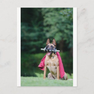 Carte Postale Hund beim Fitnesstoring