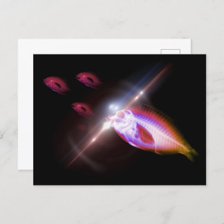 Carte Postale Hunting Dinner X-Ray Fish 1