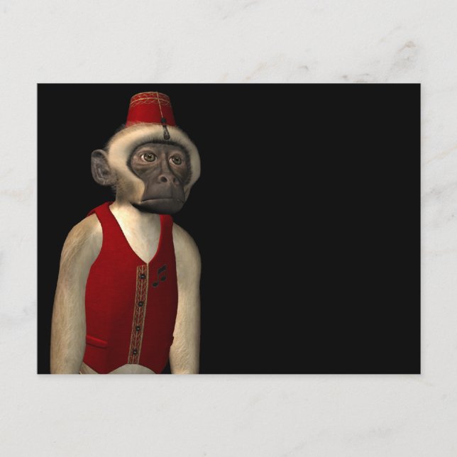 Carte Postale Hurdy Gurdy 3D Music Monkey 11 (Devant)