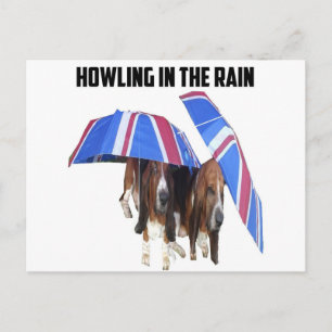 Carte postale Hurlement sous la pluie