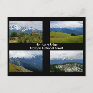 Carte Postale Hurricane Ridge postcard