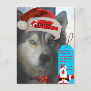 Carte Postale Husky Noël Souhaite à Père Noël