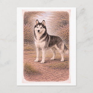Carte Postale Husky sibérien de style vintage