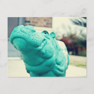 Carte Postale Hutto Hippo !