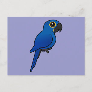 Carte Postale Hyacinth Macaw