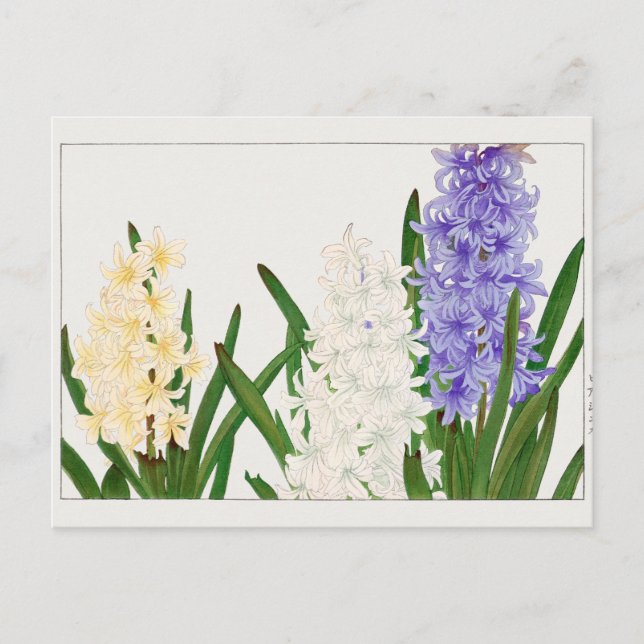 Carte Postale Hyacinthe par Tanigami Konan (Devant)