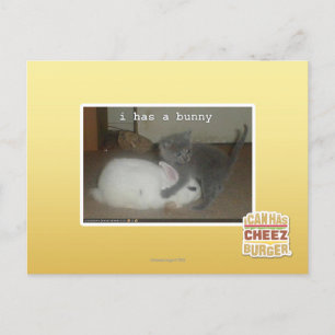 Carte Postale I a un lapin