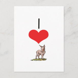 Carte Postale I Coeur (Amour) ânes