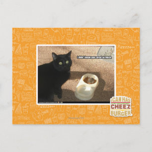 Carte Postale I don't know you cared