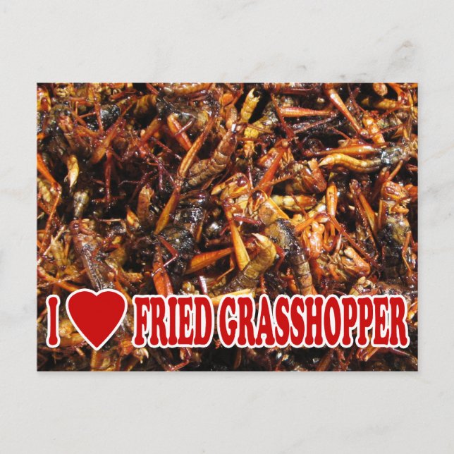 Carte Postale I Love (Heart) Fried Grasshopper (Devant)