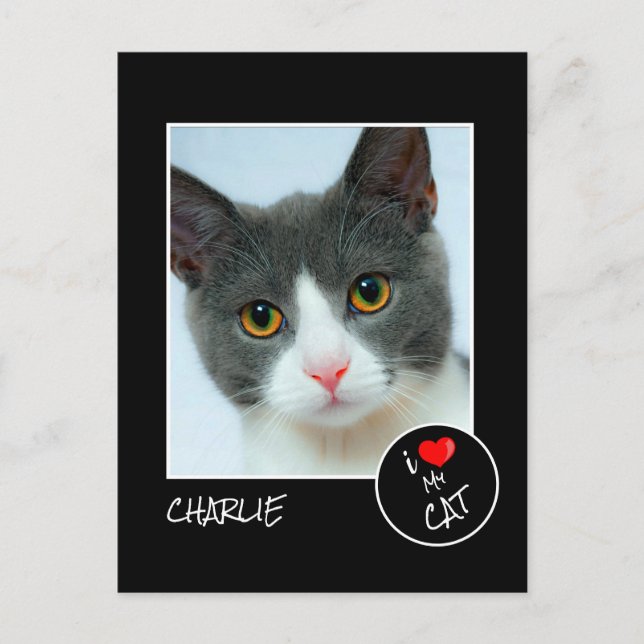 Carte Postale I Love My Cat, Custom Photo - Amateurs d'animaux d (Devant)