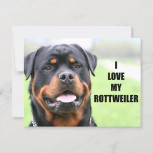 Carte Postale I Love my Rottweiler