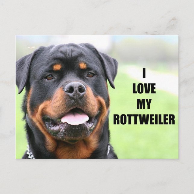 Carte Postale I Love my Rottweiler (Devant)