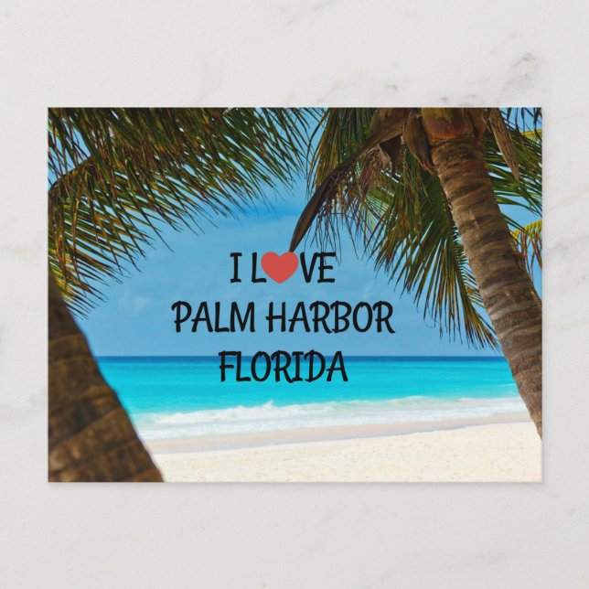 Carte Postale I Love Palm Harbour, Floride (Devant)