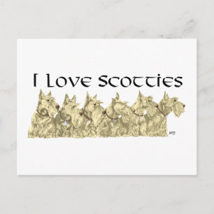 Carte Postale I Love Scotties - Wheaten Scottie Line up