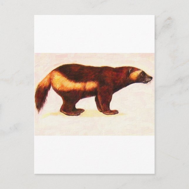 Carte Postale I Love Wolverine (Devant)