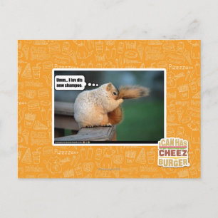 Carte Postale I luv dis new shampoo