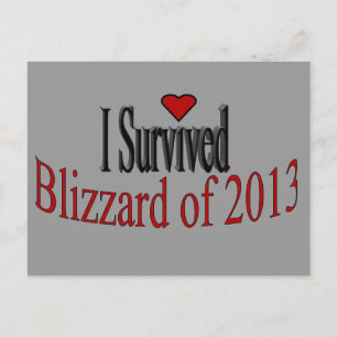 Carte postale I Survived Blizzard 2013