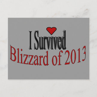 Carte postale I Survived Blizzard 2013