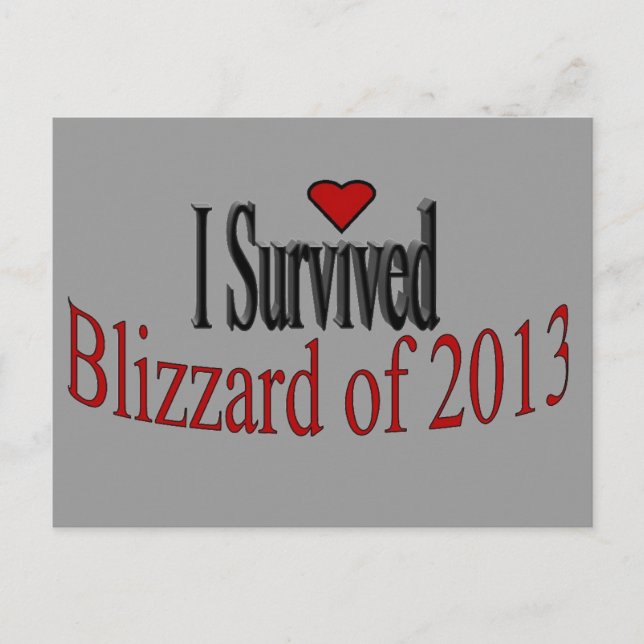 Carte postale I Survived Blizzard 2013 (Devant)