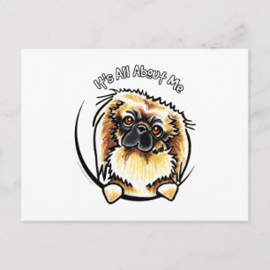 Carte Postale IAM de Pekingese