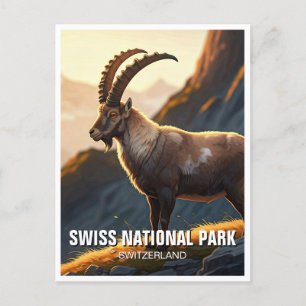 Carte Postale Ibex dans le Parc national suisse Suisse