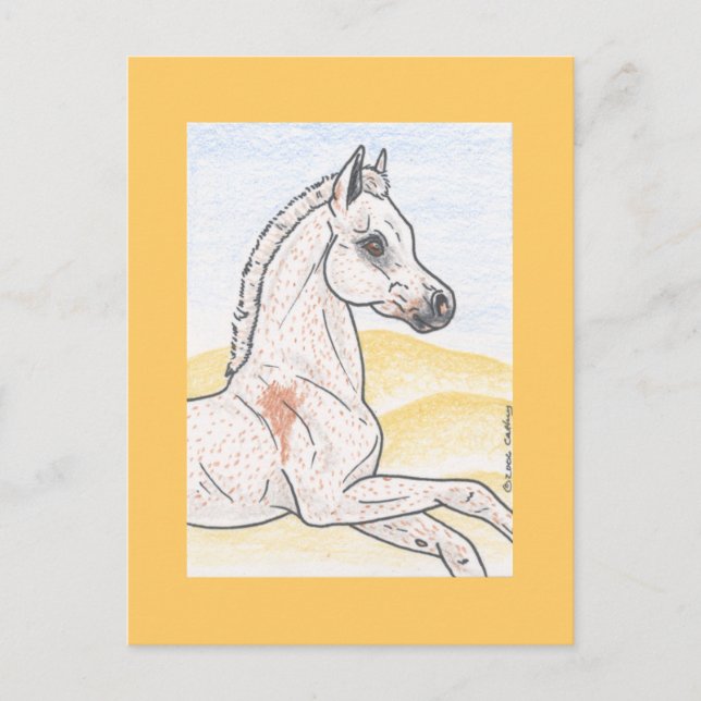 Carte Postale Ibn Shai Hulud (Devant)