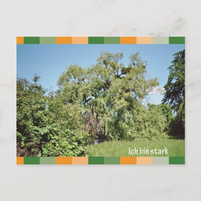 Carte Postale Ich bin stark (Devant)