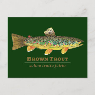 Carte Postale Ichthyologie latine Brown