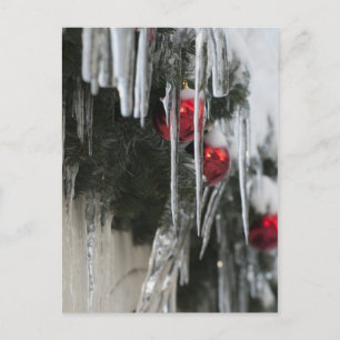 Carte Postale Icicules