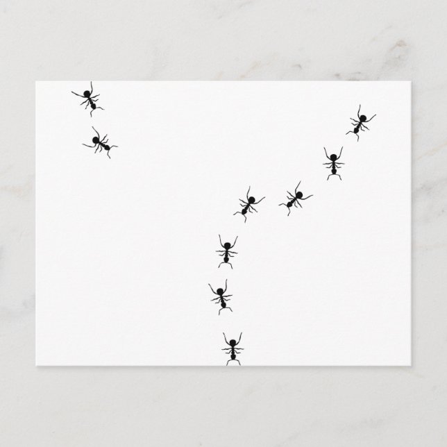 Carte Postale icône de trace (Devant)