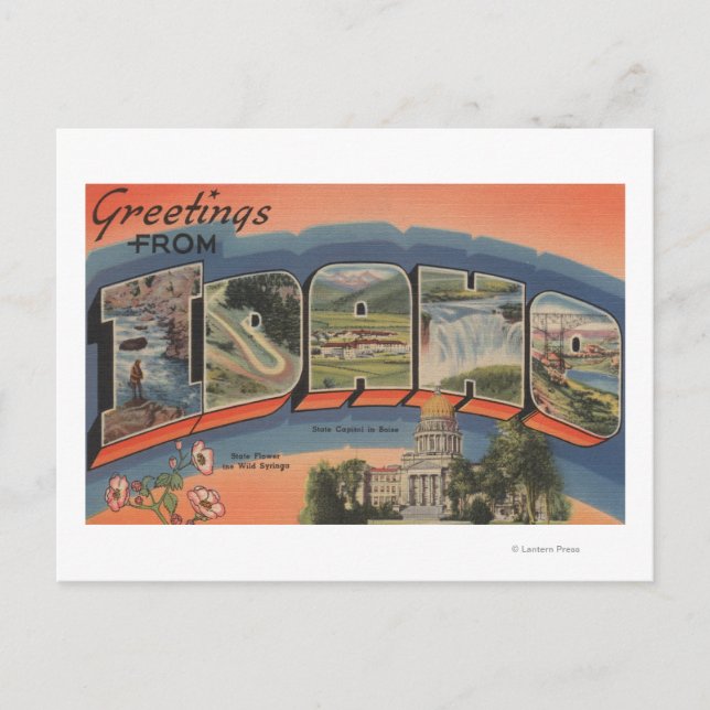 Carte Postale Idaho (Capitale Nationale/Fleur) - Grande Lettre (Devant)