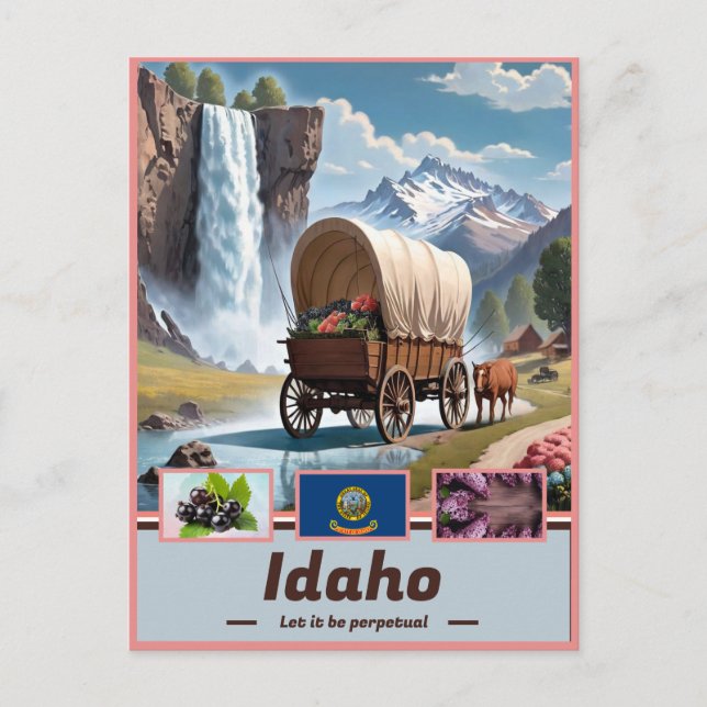 Carte Postale Idaho Elegance : Vitrine Surréelle (Devant)